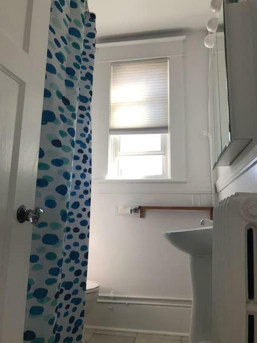 Bright, Clean, Private. In The Heart Of Downtown! Parking, Wi-Fi And Netflix Included Apartment Ottawa Ngoại thất bức ảnh